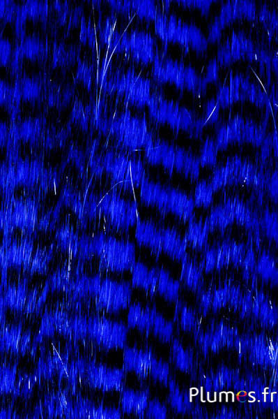 Extensions synthétiques - 40 cm, clip 3 couleurs - bleu